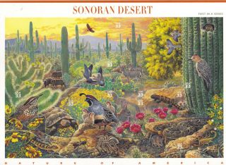 Scott 3293 Us Souvenir Sheet Sonoran Desert 33 Cent Mnh