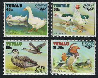 Tuvalu Ducks 