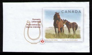 Canada 2012 Postal Stationary Animal Topical Cut Square U256 Sable Island Horse