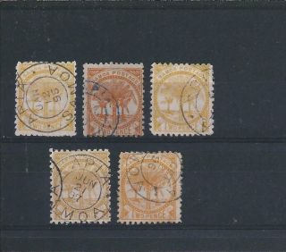 Samoa 1886 - 1900 2d Yellow Perf 11 All Five Shades Fu Sg 59/a/b/c/d Cat £100,