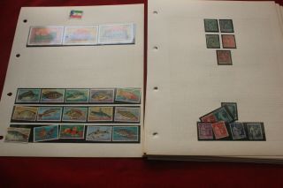 24 Album Pages With World Stamps.  Early To Mid - Period Stamps.  Mh/cancelled