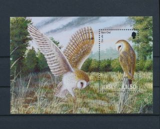 Lk58832 Jersey Fauna Barn Owl Animals Birds Good Sheet Mnh