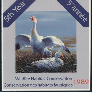 Canada - Wildlife Bird Duck Stamp Booklet Mnh 1989