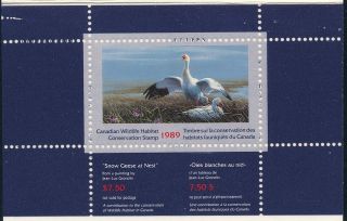 Canada - Wildlife Bird Duck Stamp Booklet MNH 1989 2
