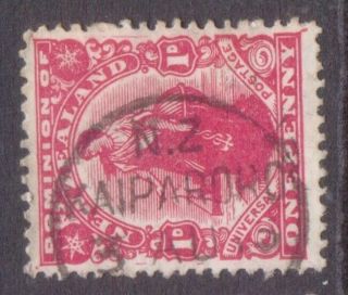 Zealand Postmark / Cancel " Kaiparoro " 1915 On Penny Dominion