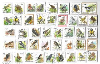 Belgium - Belgian Bird Stamps - Selection Of Stamps On Paper From Kiloware