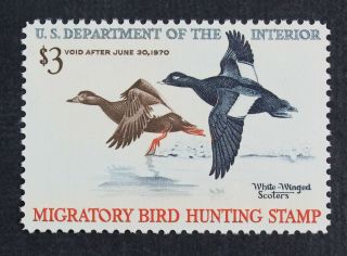 Ckstamps: Us Federal Duck Stamps Scott Rw36 $3 Nh Og Cv$65