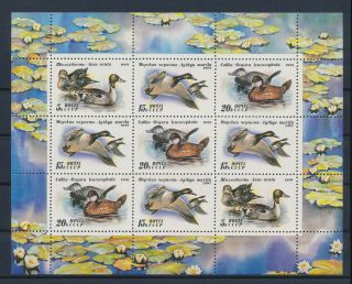 Lk55611 Russia Cccp Ducks Animals Fauna Birds Good Sheet Mnh