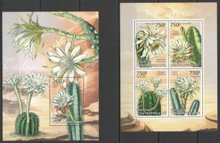 Ca627 2013 Central Africa Nature Flora Wild Flowers Cactus Kb,  Bl Mnh