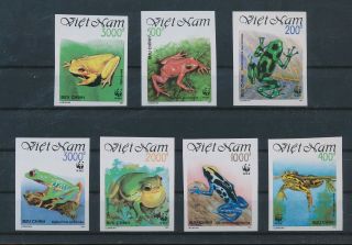 Lk55440 Vietnam Wwf 1991 Imperf Frogs Amphibia Reptiles Fine Lot Mnh