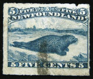 Canada Newfoundland Stamp 1876 - 79 5c Harp Seal Scott 40 Sg43