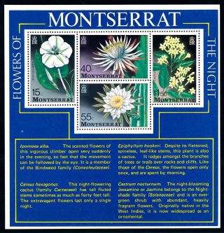 [64747] Montserrat 1977 Flora Flowers Blumen Souvenir Sheet Mnh