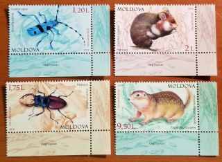 Moldova Stamps 2019 Fauna: Protected Insects And Rodents.  Mnh W/corners