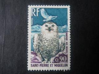 French Colonies - Saint Pierre Et Miquelon 0,  20 Snowy Owl 1973 - High Cv