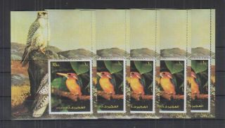 E675.  5x Fujeira - Mnh - Nature - Birds