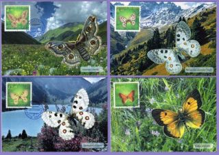 Kazakhstan 1996.  Butterflies.  Fauna.  Insects.  Maxicard.  Maximum Cards