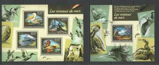 X1477 2014 Central Africa Fauna Birds Sea Birds Oiseaux De Mer Kb,  Bl Mnh