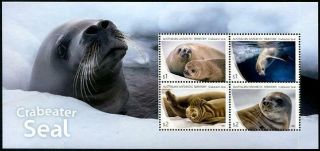 2017 - Australian Antarctic Territory - Bf Seals - Phoques Mnh (aat 2018 - N1)