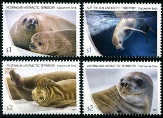 2017 - Australian Antarctic Territory - Seals - Phoques Mnh (aat 2018 - 1)