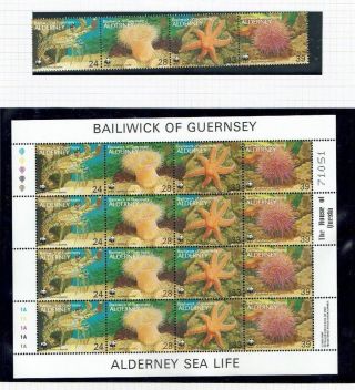 Alderney: 1993 Endangered Species,  Marine Life,  Mnh Set And Sheetlet.