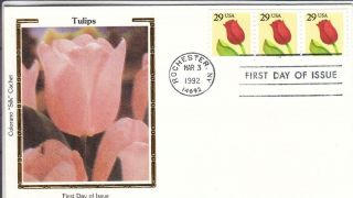 1992,  Tulips,  Colorano Silk,  Unaddressed,  Fdc (d10386)