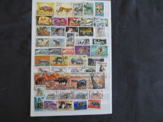 Thematics - Animals - Various And Stamps (2)
