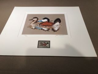 Rw48 1981 - Federal Duck Stamp Print John Wilson With Stamp