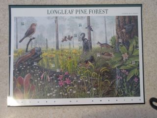 Longleaf Pine Forest 34 Cent Usps Stamps Sheet Pane Of 10 $3.  40