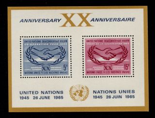 Opc Un 1965 International Cooperation Year Souvenir Sheet Sc 145 Mnh