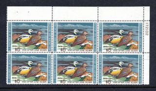 Us Sc Rw40 Cv$95 Duck Stamps $5 Block Of 6 Bob P Og Nh Id 2134