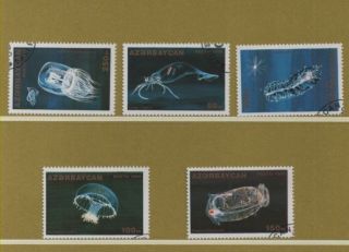 Thematic Stamps Azerbaijan 1995 Marine Life 5v