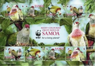 Samoa Birds 2011 Endangered Species,  The Fruit Dove Sheet Um (mnh)
