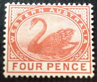 Western Australia 1885 4d Chestnut Stamp Hinged