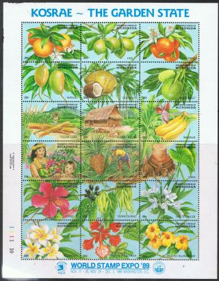 Micronesia 1989 World Stamp Expo Souvenir Sheet