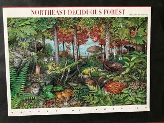 Us Stamps 37 Cent Sheet Of 10 Northeast Deciduous Forest Mnh Sc 3899