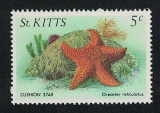 St.  Kitts Cushion Star Starfish 1v 5c Mnh Sg 143