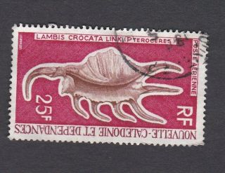 1968 Caledonia 25f.  Orange Spider Conch - Sea Shells Stamp Sg 454