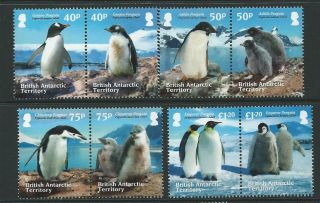 British Antarctic Terr.  Sg612/9 2013 Penguins Mnh