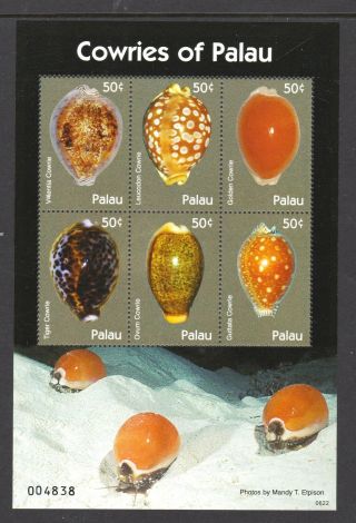 Palau 2007 Cowrie Sea Shells - Mnh Mini Sheet - Cat £11.  50 - (80)