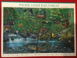 Us Stamp 3378 Pacific Coast Rain Forest.  33c Sheet/pane Of 10 Mnh Cv$17 72619010