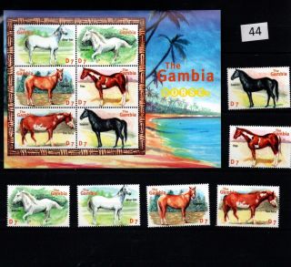 / Gambia - Mnh - Nature - Animals - Horses