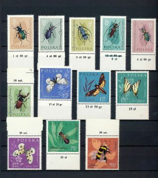 POLAND 1962 Sheets Skiing Insects MNH (Appx 100) (MR449 6