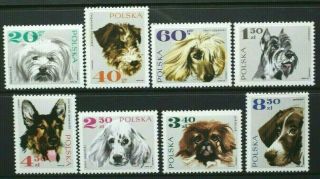 Poland 1969 Pedigree Dogs.  Set Of 8.  Never Hinged.  Sg1878/1885.