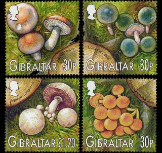 Mushrooms Set Of 4 Mnh Stamps 2003 Gibraltar 950 - 3 Rabbits Birds