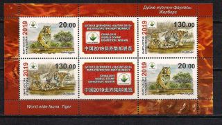 Kyrgyzstan.  2019 World Stamp Exhibition Wuhan.  Tiger.