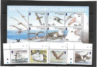 Br.  Antartic Territory 2005 Bird Life Set & M/sheet Um.