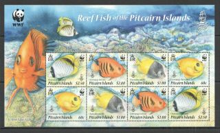 M663 Pitcairn Islands Fauna Wwf Fish & Marine Life Reef Fish 1kb Mnh