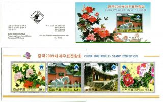 Korea " China 2009 World Stamp Exhibition " Stamp Booklet,  2009 (l9089)