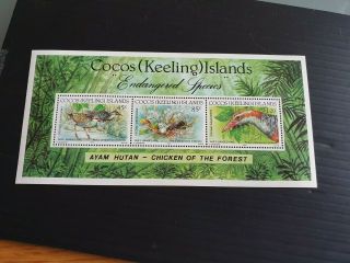Cocos (keeling) Islands 1992 Sg Ms269 Endangered Species Mnh