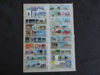 Thematics - Fish - Various And Stamps (4)